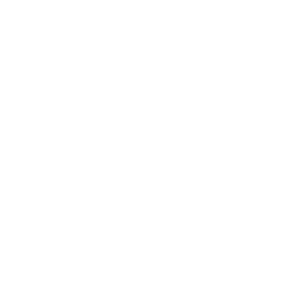 オリーブアイコン3